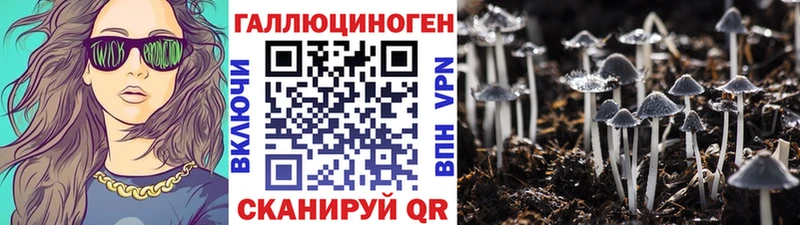 Псилоцибиновые грибы Magic Shrooms  купить   сайты даркнета официальный сайт  Дрезна 